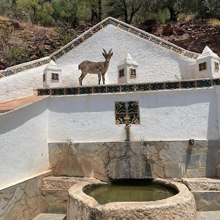 Viva Espana Comares Exteriér fotografie